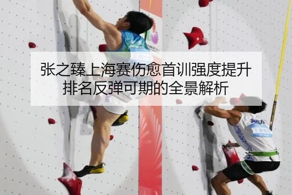 张之臻上海赛伤愈首训强度提升 排名反弹可期的全景解析